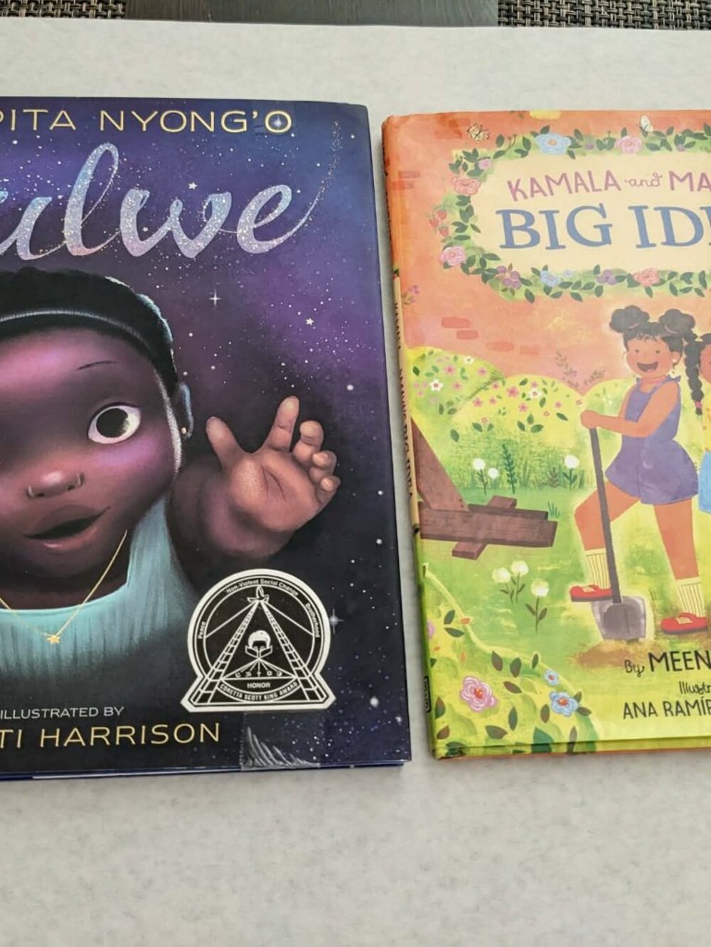 2 Book Lot: Sulwe ; Kamela & Maya's Big Idea